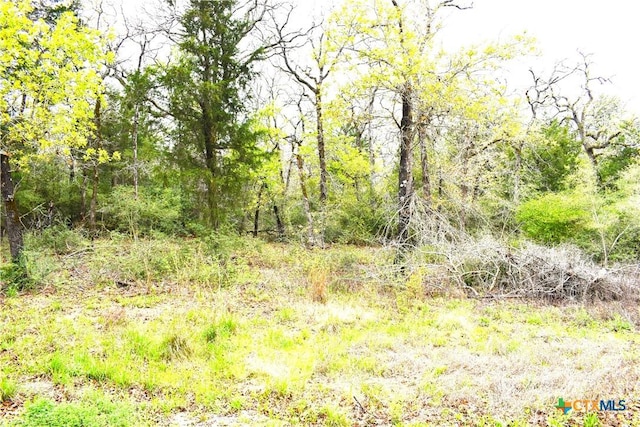 4440 County Road 448, Thorndale, TX 76577 - photo 34