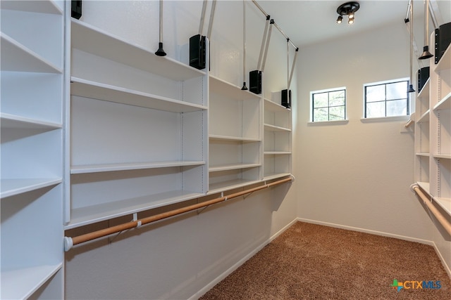 spacious closet featuring carpet floors