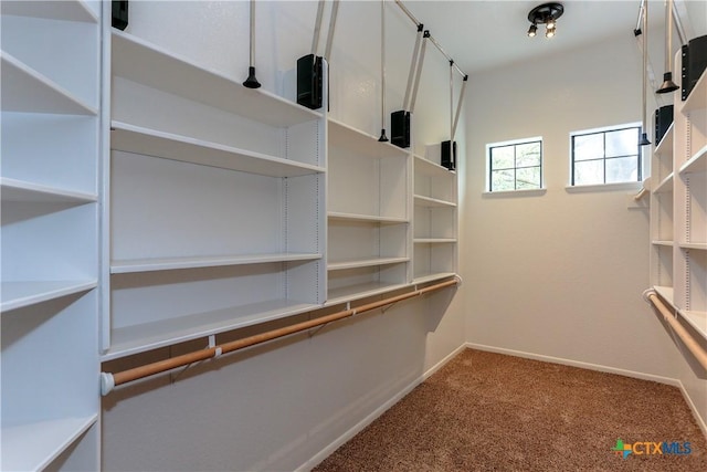 9776 Arroyo Dr, Belton, TX 76513 - walk in closet featuring carpet flooring