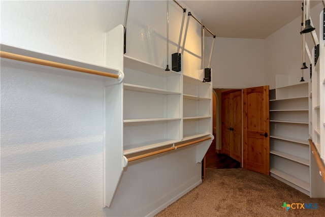 walk in closet with light colored carpet