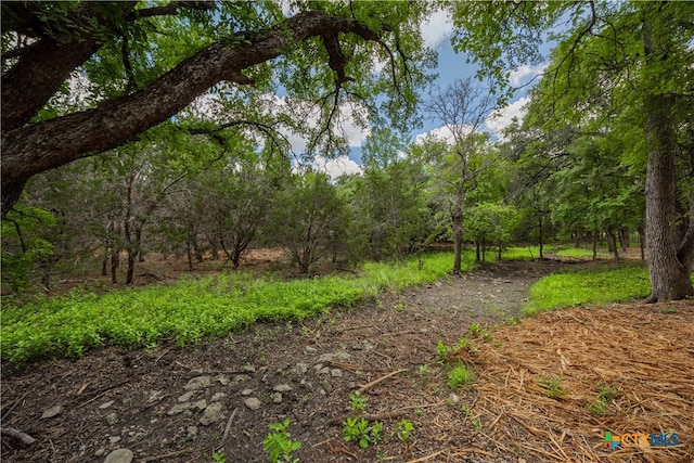 250 E Ridgewood Rd, Georgetown TX, 78633 land for sale