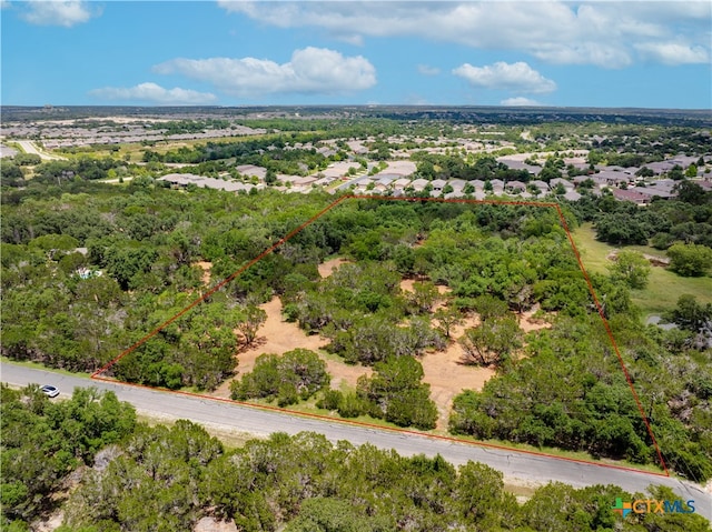 Listing photo 3 for 250 E Ridgewood Rd, Georgetown TX 78633