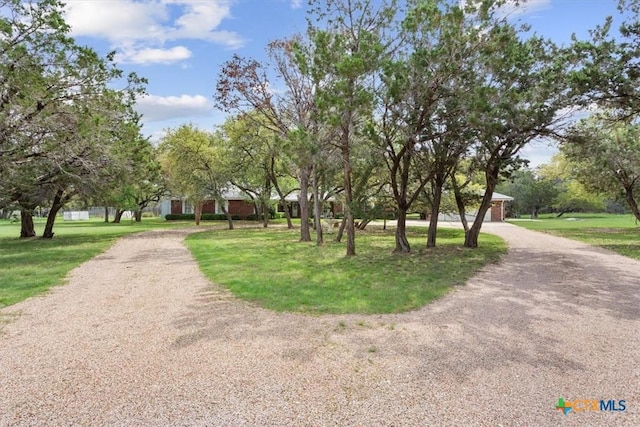 view of property's community with a lawn and driveway