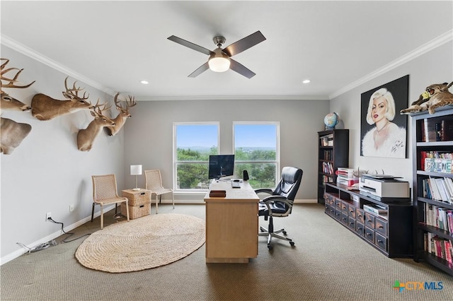 810 Pinnacle Pkwy, New Braunfels, TX 78132 - office area with ceiling fan, carpet, ornamental molding, baseboards, and recessed lighting