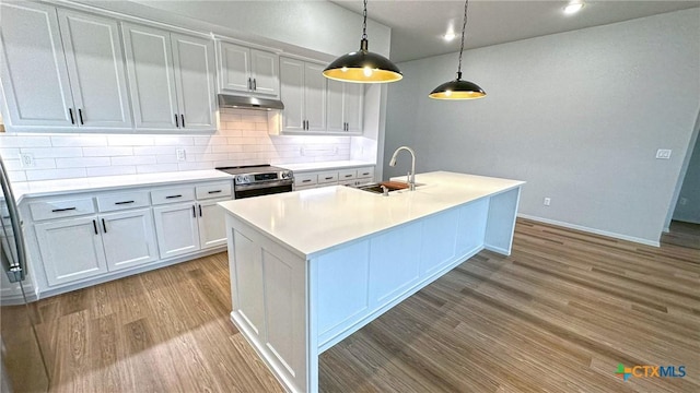 kitchen featuring under cabinet range hood, wood finished floors, a sink, electric stove, and backsplash