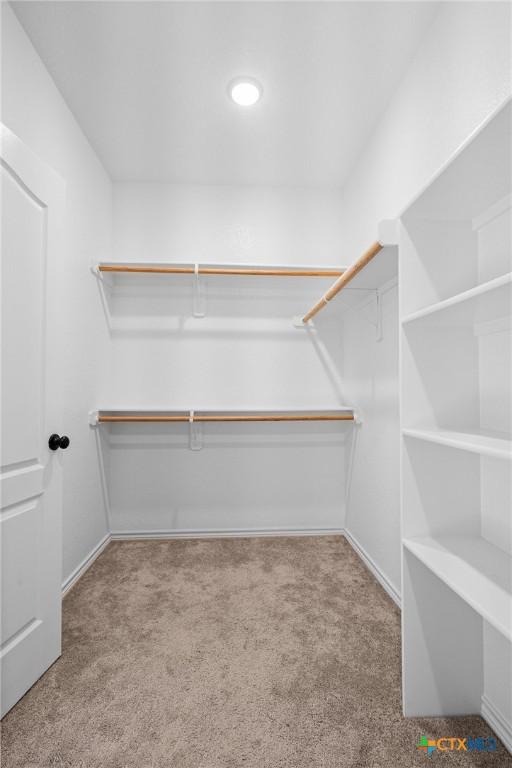 walk in closet featuring light colored carpet