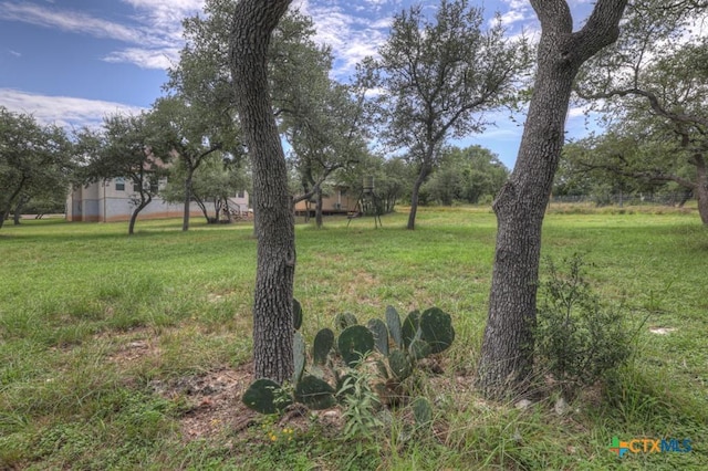 121 Waterbury, New Braunfels, TX 78132 - photo 31