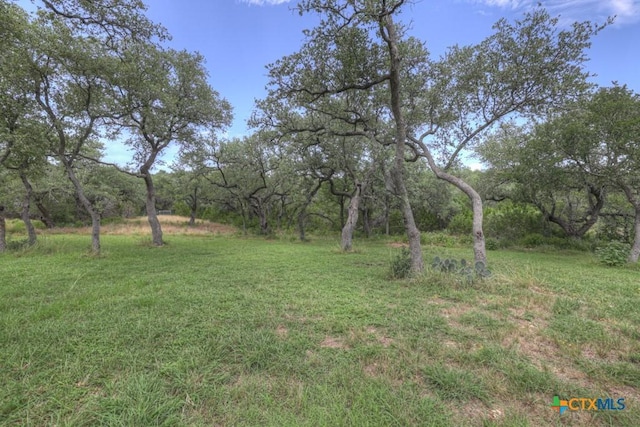 121 Waterbury, New Braunfels, TX 78132 - photo 32