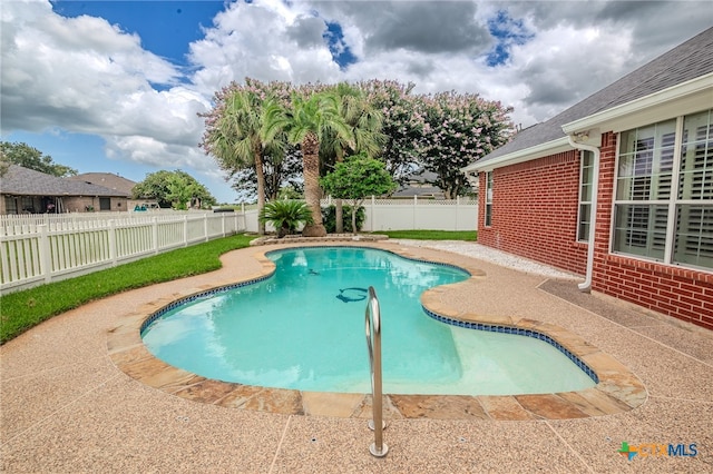 view of pool featuring a patio