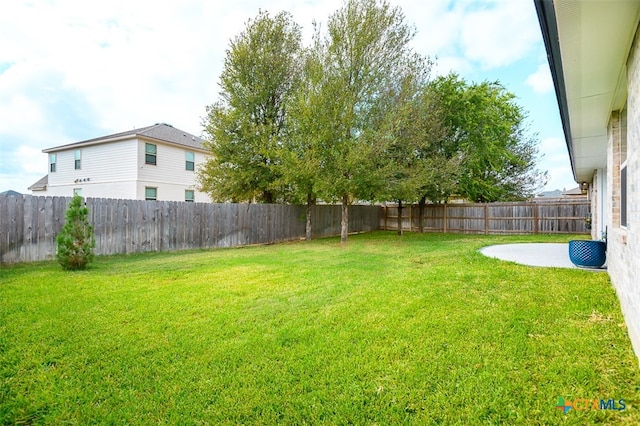 view of yard featuring a patio