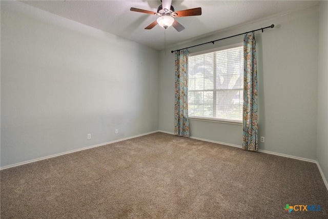 3122 Soledad Ln, New Braunfels, TX 78132 - photo 21