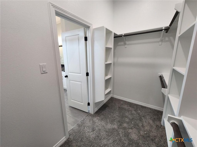 412 Talon, Salado, TX 76571 - spacious closet featuring carpet flooring