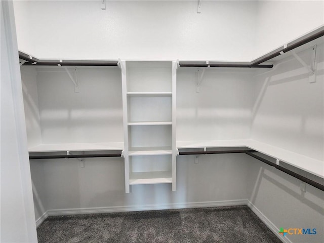 412 Talon, Salado, TX 76571 - spacious closet featuring dark carpet