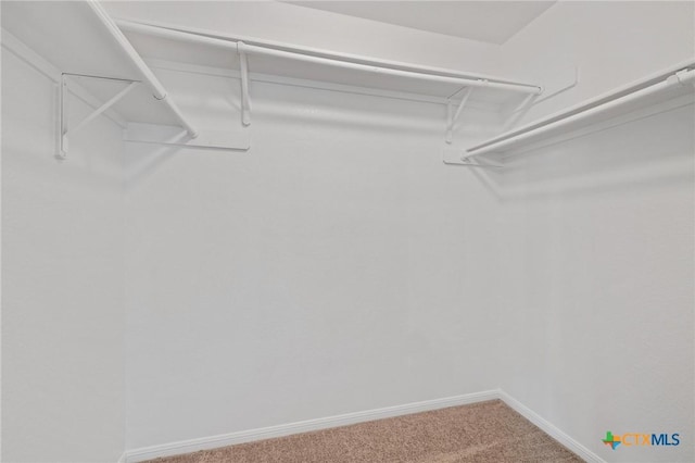 711 Leo Ln, Killeen, TX 76542 - spacious closet with carpet flooring