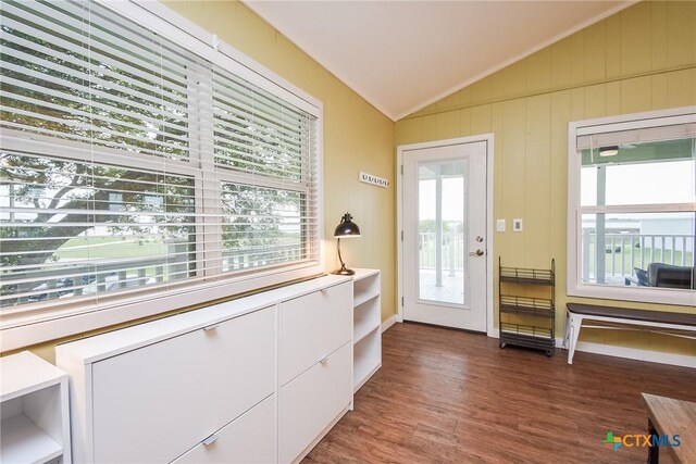 doorway to outside featuring dark hardwood / wood-style floors, a healthy amount of sunlight, and vaulted ceiling