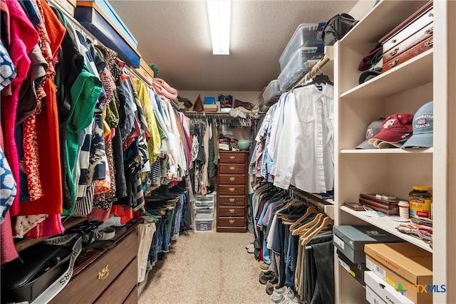 3201 Purple Sage Dr, Belton, TX 76513 - spacious closet with light carpet