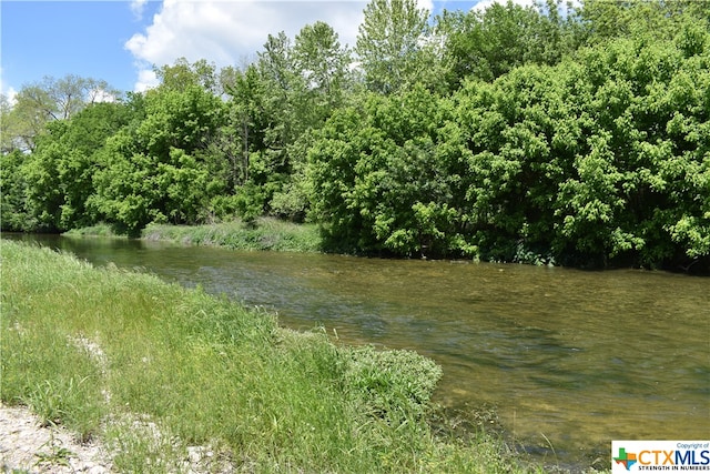 view of local wilderness with a water view