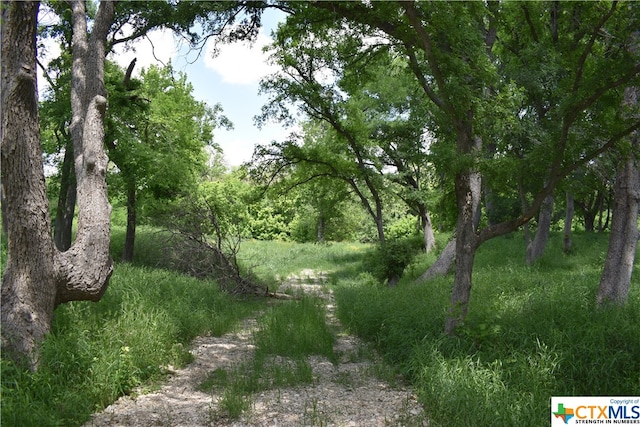 view of landscape