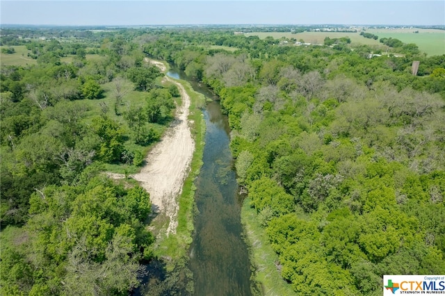 194 Gabriel Meadows Dr, Hutto, TX 78634 - aerial view with a view of trees
