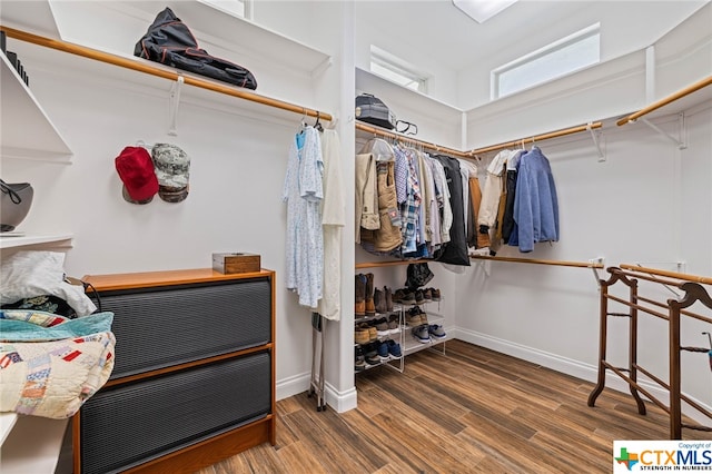 walk in closet with hardwood / wood-style floors