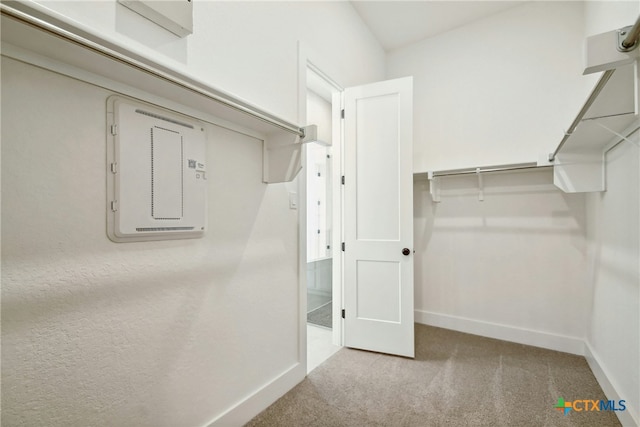 1923 Privet Rd, New Braunfels, TX 78132 - walk in closet with carpet floors and electric panel