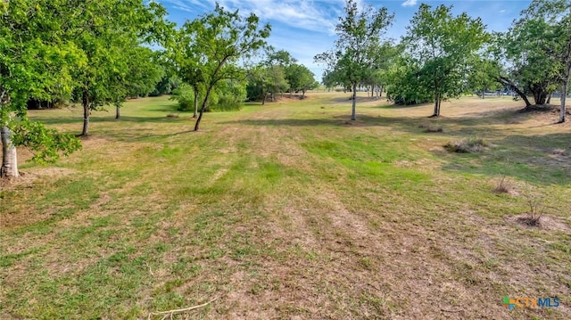 1622 Old Goliad Rd, Victoria, TX 77905 - view of green lawn