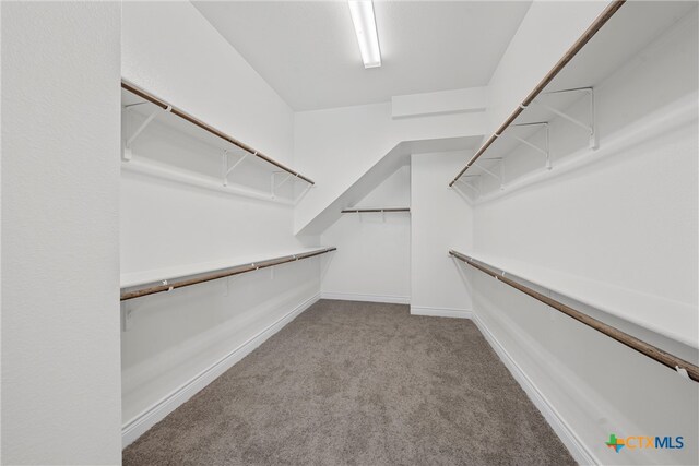 walk in closet featuring carpet