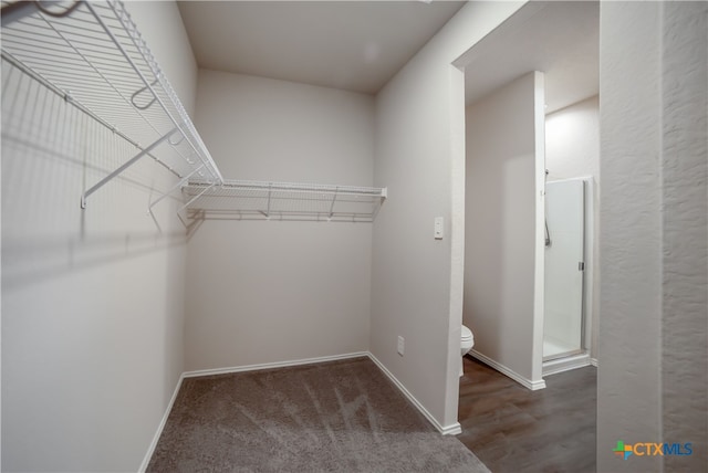 7147 Azure Waters, Converse, TX 78109 - view of walk in closet