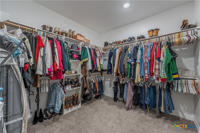 walk in closet with carpet