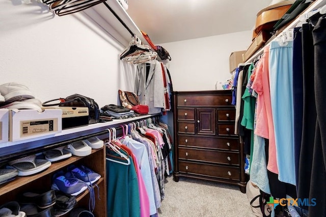 walk in closet with light carpet