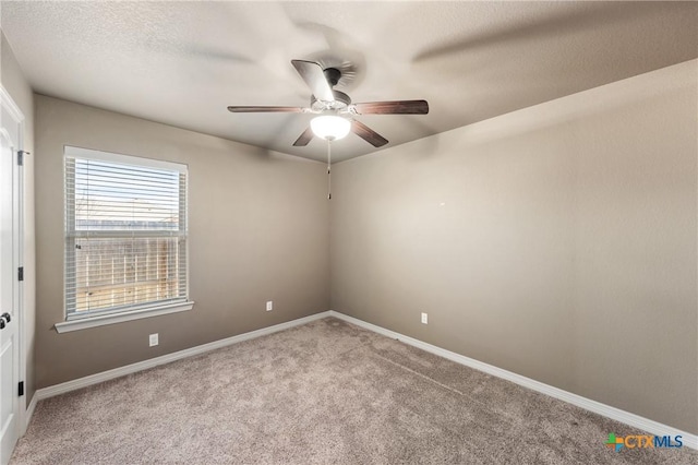 8305 Split Trail Cv, Temple, TX 76502 - photo 26
