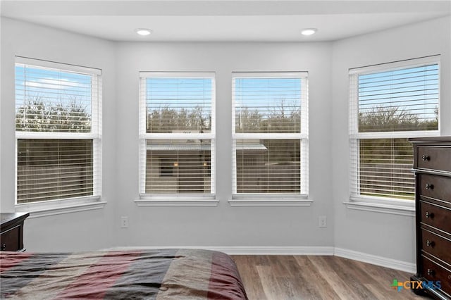 bedroom featuring multiple windows and light wood-type flooring