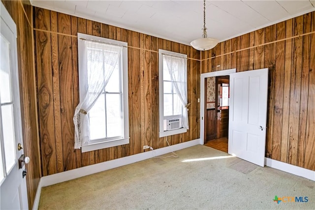 spare room with carpet floors and wood walls