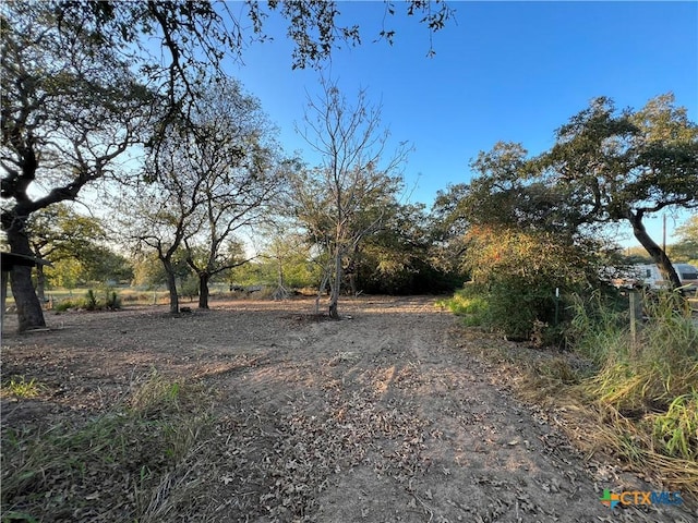 2968 E State Highway 97, Nixon, TX 78140 - photo 20