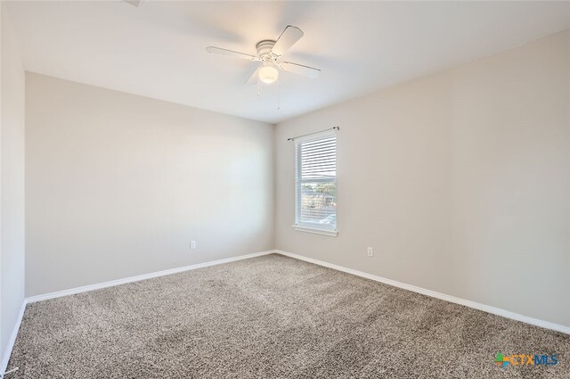 spare room featuring ceiling fan and carpet floors