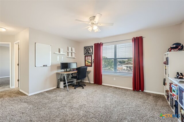 office space featuring carpet and ceiling fan