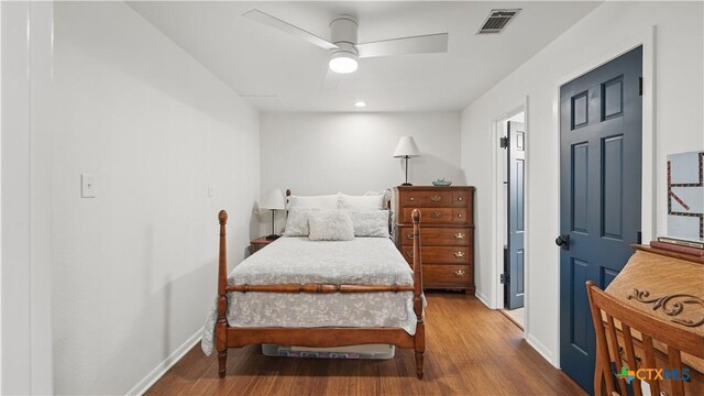1817 Kuehler Ave, New Braunfels, TX 78130 - photo 40