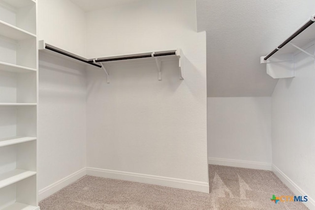 2230 Hoja Ave, New Braunfels, TX 78132 - photo 19