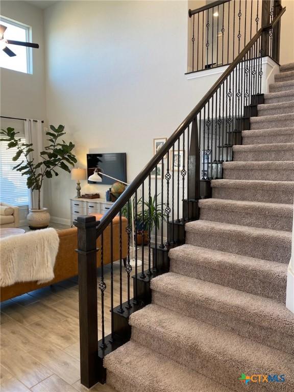 2230 Hoja Ave, New Braunfels, TX 78132 - photo 7