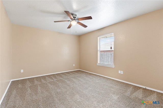 4307 Menard Dr, Killeen, TX 76549 - photo 17