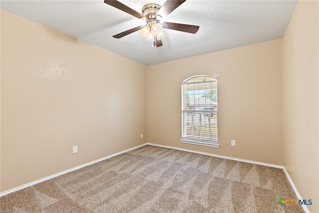 4307 Menard Dr, Killeen, TX 76549 - photo 20