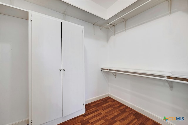 spacious closet with dark wood-type flooring