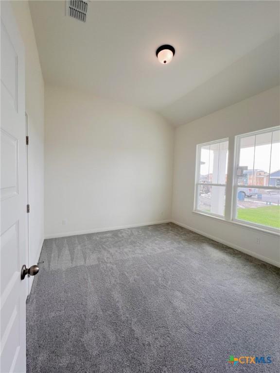 116 Raindance Ct, Victoria, TX 77904 - spare room with carpet flooring and vaulted ceiling