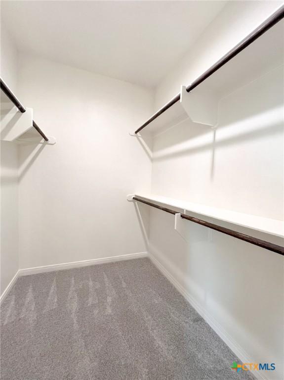 116 Raindance Ct, Victoria, TX 77904 - spacious closet featuring carpet flooring