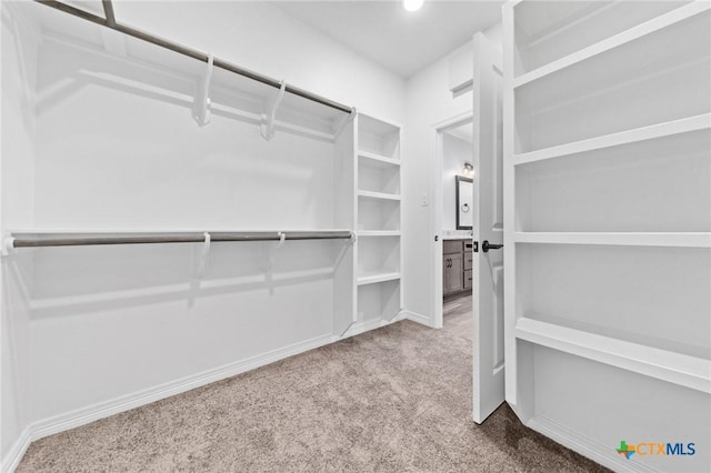 spacious closet with carpet