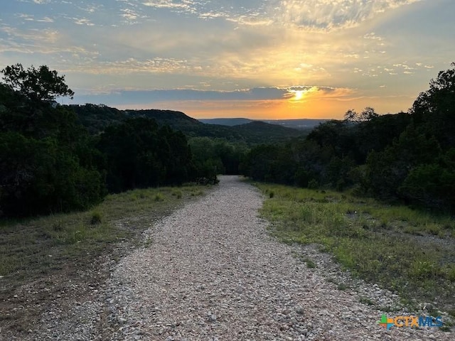 1069 Trail Pass Dr, Canyon Lake, TX 78133 - photo 38