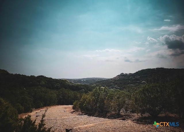 property view of mountains with a forest view