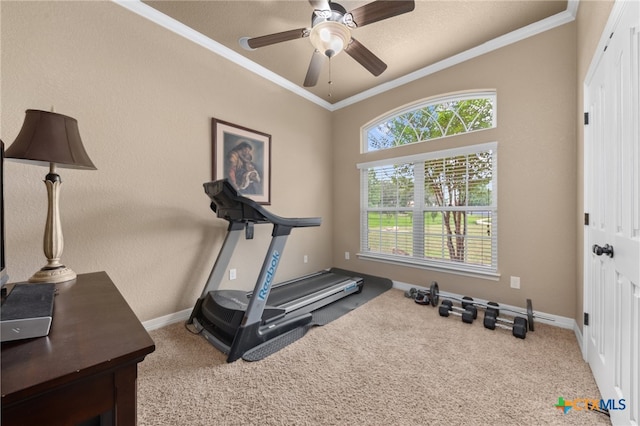 exercise room featuring ceiling fan, a textured ceiling, carpet flooring, and ornamental molding