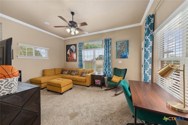 carpeted living room featuring ceiling fan, a textured ceiling, and crown molding