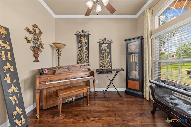 misc room featuring ceiling fan, dark hardwood / wood-style floors, and crown molding